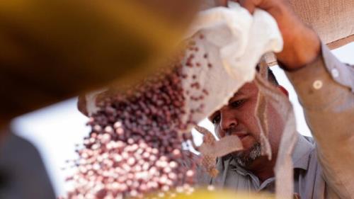 خیز سویاکاران برزیلی برای گرفتن بازار چین