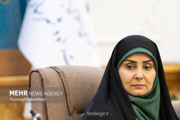 ایجاد زیرساخت های نوین در شهر های جدید، محرک جذب سرمایه گذاری است