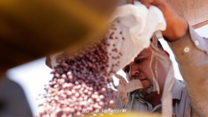 خیز سویاکاران برزیلی برای گرفتن بازار چین خیز سویاکاران برزیلی برای گرفتن بازار چین