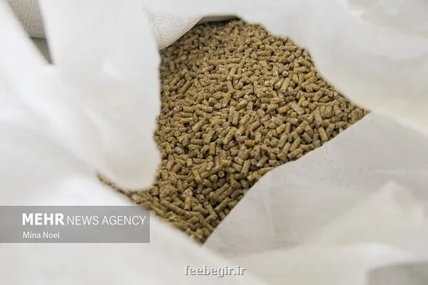 پیشنهاد تشکل های نهاده دامی برای ساماندهی بازار از تأمین تا توزیع