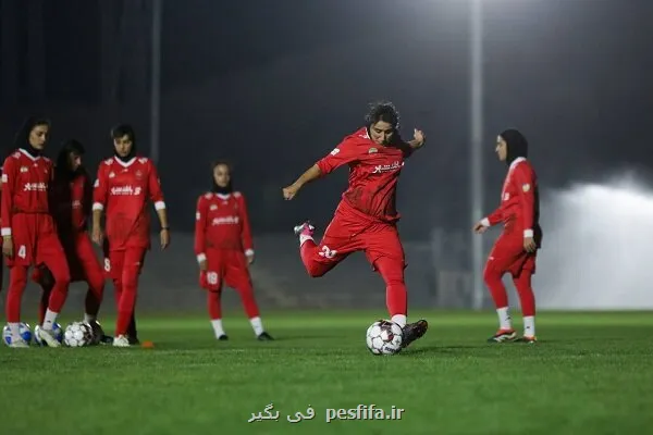 دو گزینه برای نیمکت پرسپولیس