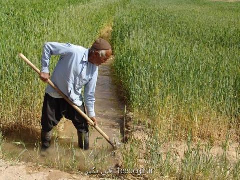 تغییرات اقلیمی مهمترین معضل بخش كشاورزی است